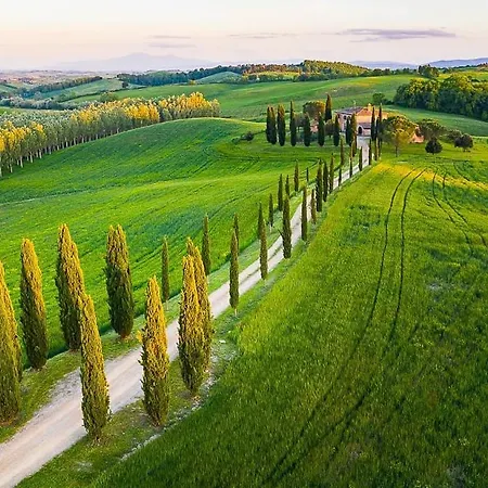 Cucule Siena