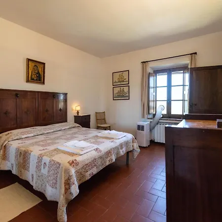 Cucule Siena