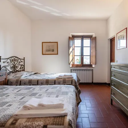 Cucule Siena