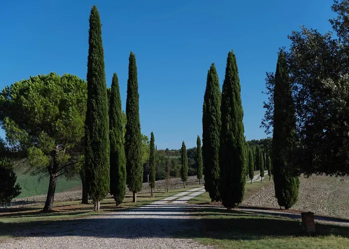 Lantställe Cucule Siena